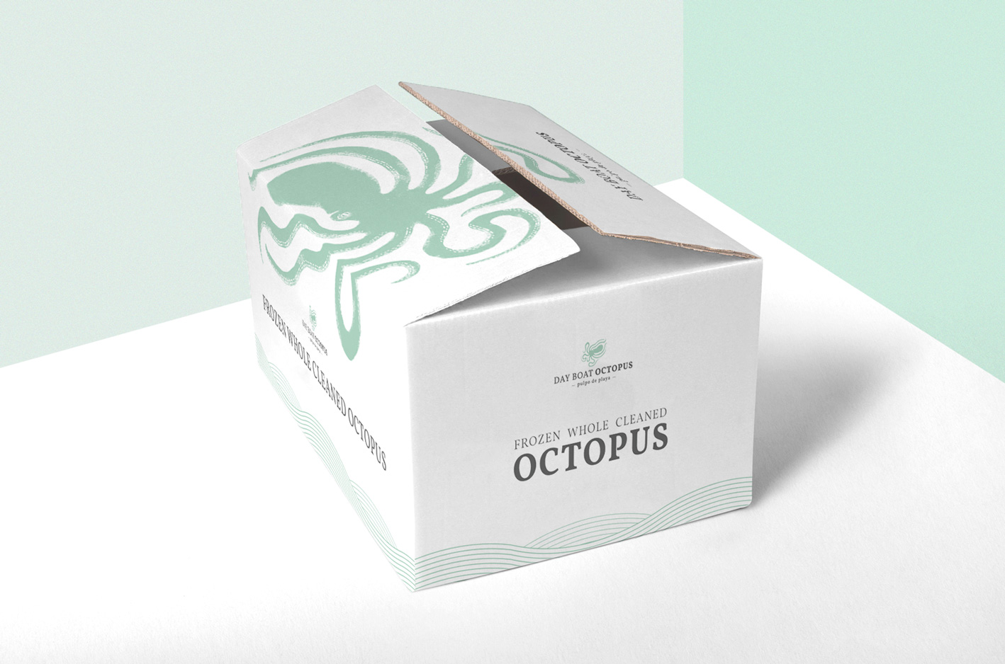 octopus box mockup